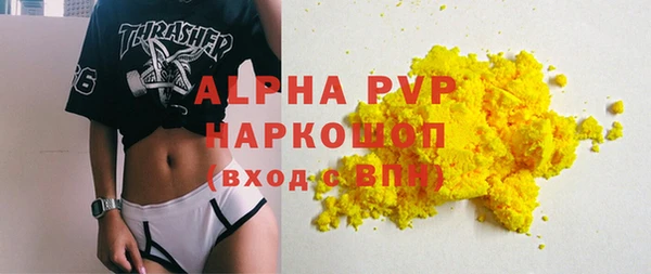 spice Богородицк