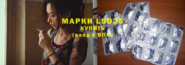 spice Богородицк