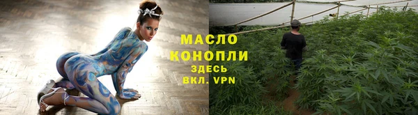 spice Богородицк