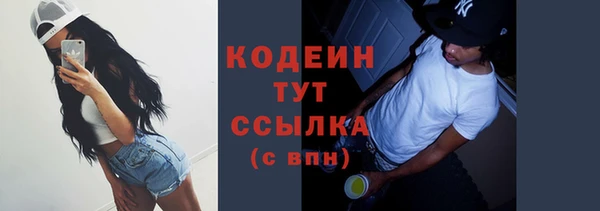spice Богородицк