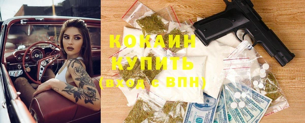 spice Богородицк