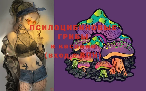 кристаллы Богданович