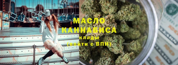 spice Богородицк
