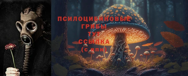кристаллы Богданович