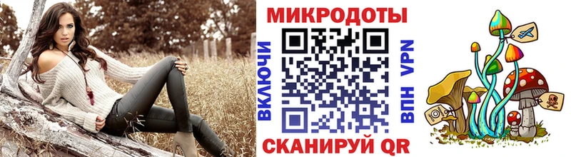 Купить где  Протвино  Псилоцибиновые грибы Psilocybine cubensis 